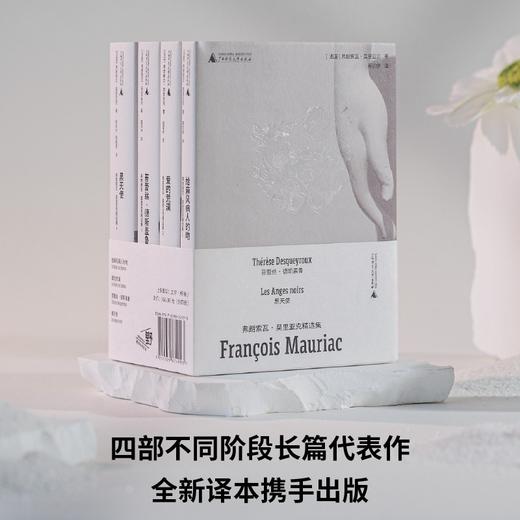 苔蕾丝·德斯盖鲁（诺奖得主莫里亚克“弒夫文学”名作，绝美精装文库本全新呈现！一个在婚姻中身陷存在危机的女人，为寻找自我主动走向深渊） 商品图5