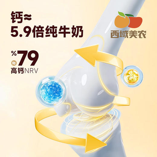 西域美农芝士黑巧奶片芝士玫瑰奶酪粒奶香浓郁休闲零食 商品图2