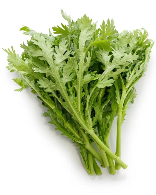 【MLT】茼蒿 商品图1