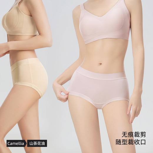 QIUBAN秋板A类棉莫山茶花内裤 无痕轻盈无束缚 M70 商品图4
