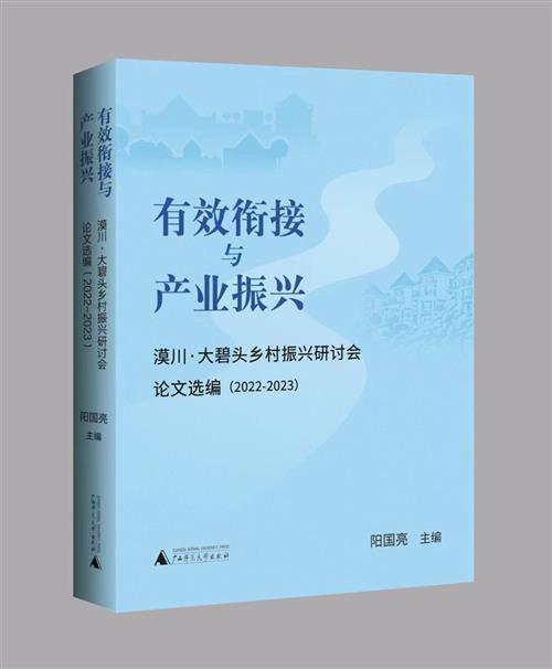有效衔接与产业振兴——漠川 · 大碧头乡村振兴研讨会论文选编（2022—2023） 商品图0