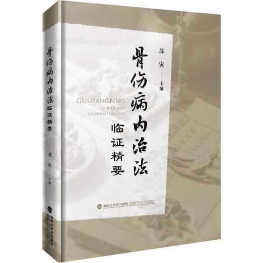 骨伤病内治法临证精要 商品图0