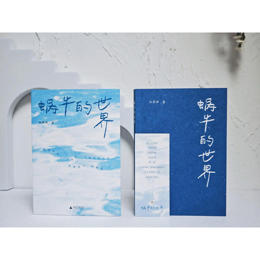 蜗牛的世界 商品图4