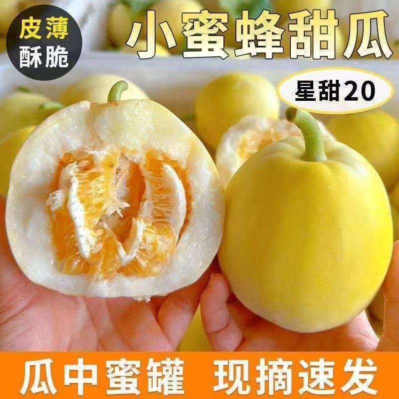 【脆甜爆汁❗️山东小蜜蜂甜瓜】现摘现发新鲜直达，星甜20品种，皮薄酥脆超甜爆汁，自带浓郁果香，适配日常健康加餐新鲜水果现摘速发甜瓜L