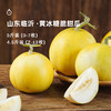 企鹅市集|山东临沂 黄冰糖脆甜瓜 2规格可选 清脆甜蜜 小巧可爱 商品缩略图0