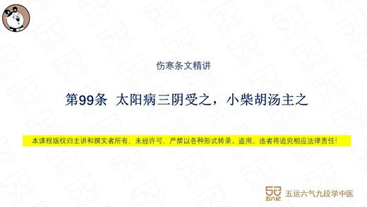 伤寒第99条 太阳病三阴受之，小柴胡汤主之 商品图0