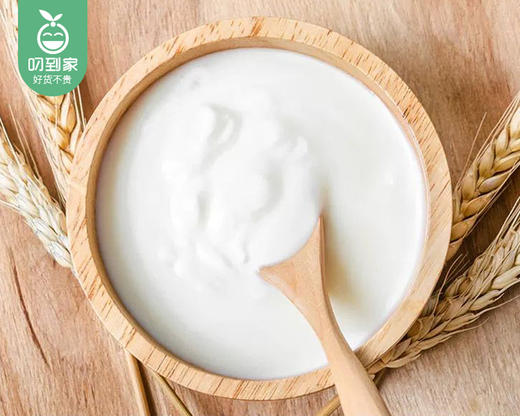 兰格格草原专利活菌酸奶风味发酵乳/1瓶（1kg）生产日期：4月19日左右 商品图2