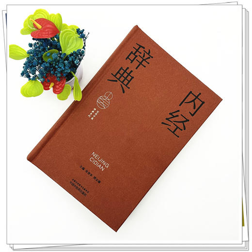 内经辞典 张登本 邢玉瑞 主编 实用中医辞典系列 中国中医药出版社 商品图1