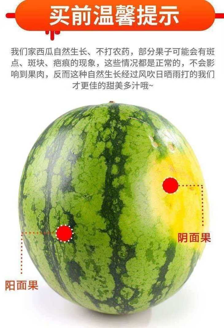 11 - 副本.jpg