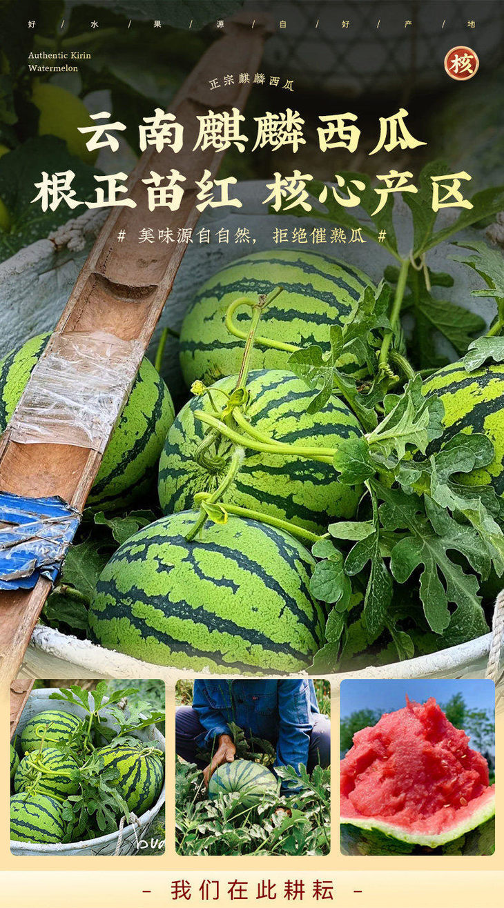 2 - 副本.jpg