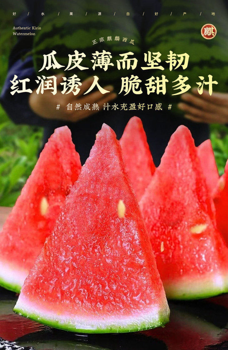 5 - 副本.jpg