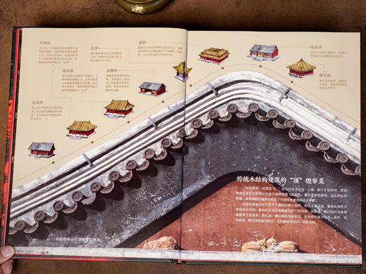 《中国非遗》精装典藏版 商品图4