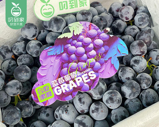 云南蓝莓葡萄礼盒/1箱（1.25kg±100g） 商品图5
