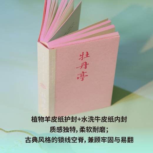 牡丹亭（东方美学巅峰，白先勇挚爱；经典戏画，全本一字未删，专家详注+名师导读，全年龄无障碍阅读） 商品图3