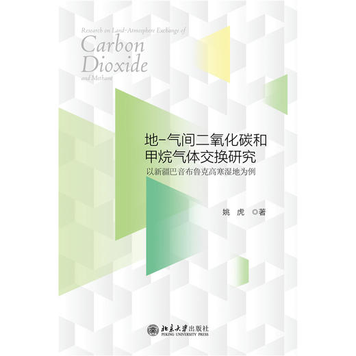 地-气间二氧化碳和甲烷气体交换研究  姚虎 著  北京大学出版社 商品图1