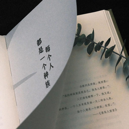 入夜的声音（诺奖热门候选人米亚·科托 卡蒙斯文学奖得主 与萨拉马哥同等殊荣 2014年击败村上春树获纽斯塔特文学奖） 商品图5