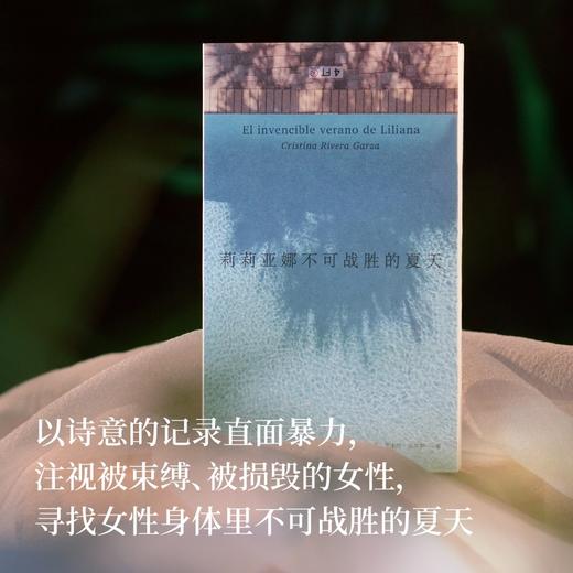 莉莉亚娜不可战胜的夏天（获2024普利策奖！以诗意的记录直面暴力，注视被束缚、被损毁的女性，寻找女性身体里不可战胜的夏天） 商品图1