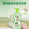 『植物氨基酸内衣净』抑菌除菌去血渍洗除HPV专用内衣裤清洗 商品缩略图4