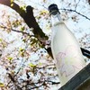 春限定日本仙禽樱花薄浊生原清酒 青苹果洋梨香 细腻酸度轻快温暖；仙禽雪人活性浊酒清酒 鲜活爽快 柔和甘甜 13度 商品缩略图9