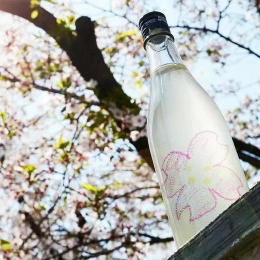 春限定日本仙禽樱花薄浊生原清酒 青苹果洋梨香 细腻酸度轻快温暖；仙禽雪人活性浊酒清酒 鲜活爽快 柔和甘甜 13度 商品图9