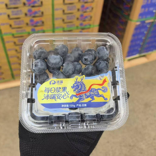 沛瑞云南15+花香蓝莓125g 商品图0