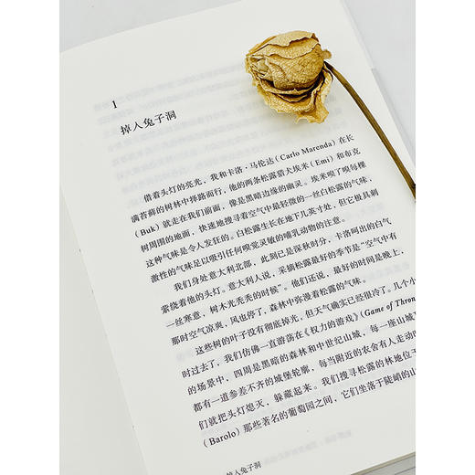 松露寻踪：顶级食材背后的科学、文化与秘闻(自然文库) 商品图9