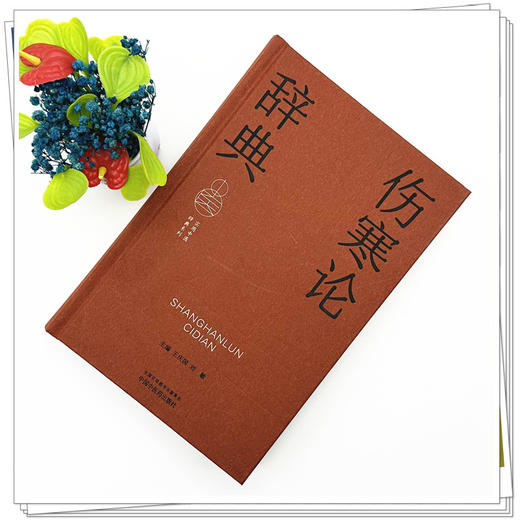 伤寒论辞典 实用中医词典系列 王庆国 刘敏 内容涵盖中医经典理论中药方剂中医临床各科中医文献针灸推拿等学科 中国中医药出版社 商品图2