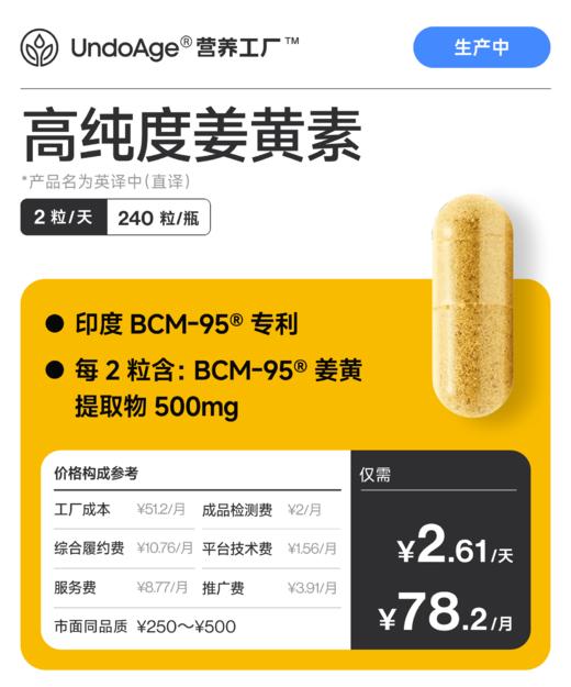 高纯姜黄素｜印度 BCM-95® 专利 *产品名为英译中直译【该批次已售罄，新批次生产中】 商品图0