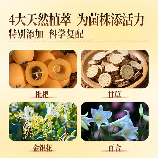 【超模君严选】领航益生雪梨甘草即食型益生菌1200亿 商品图4