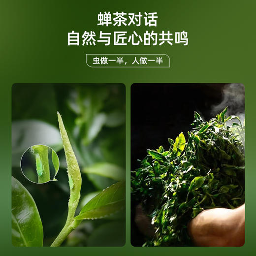 华祥苑-星时光东方美人（ECA） 商品图1