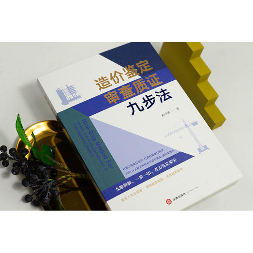 造价鉴定审查质证九步法   郑子英著  法律出版社 商品图1