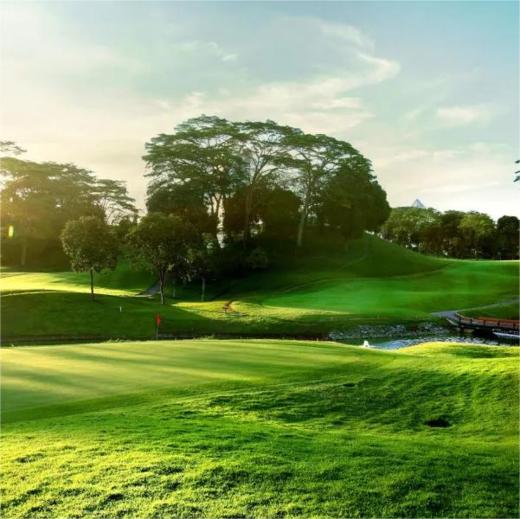 新加坡·吉宝乡村高尔夫俱乐部 （Keppel Golf Club) | 新加坡高尔夫球场俱乐部 商品图1