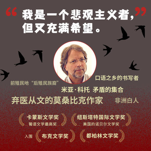入夜的声音（诺奖热门候选人米亚·科托 卡蒙斯文学奖得主 与萨拉马哥同等殊荣 2014年击败村上春树获纽斯塔特文学奖） 商品图1