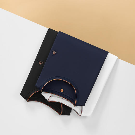 【DWP】【桑蚕丝】大依优型大码男装夏季圆领短袖T恤宽松舒适透气短袖 商品图2