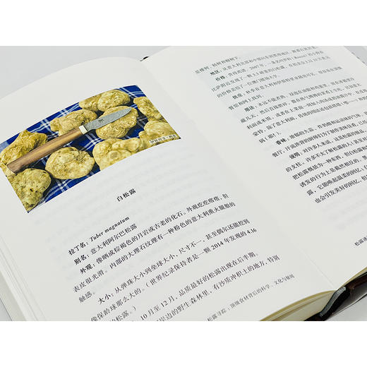 松露寻踪：顶级食材背后的科学、文化与秘闻(自然文库) 商品图11