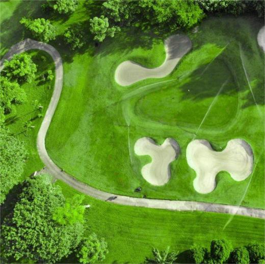 南林克斯乡村俱乐部 SouthLinks Country Golf Club | 巴淡岛高尔夫 | 印尼高尔夫球场俱乐部 商品图4