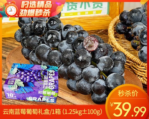 云南蓝莓葡萄礼盒/1箱（1.25kg±100g） 商品图0