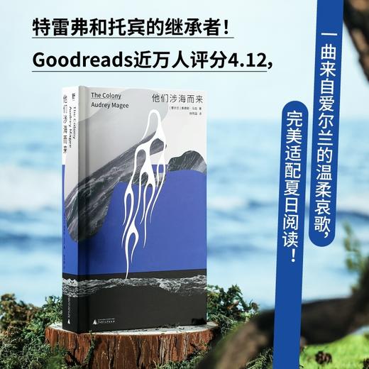 他们涉海而来（特雷弗和托宾的继承者！2022年布克奖提名作品，Goodreads近万人评分4.12，一曲来自爱尔兰的温柔哀歌，完美适配夏日阅读） 商品图1