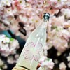 春限定日本仙禽樱花薄浊生原清酒 青苹果洋梨香 细腻酸度轻快温暖；仙禽雪人活性浊酒清酒 鲜活爽快 柔和甘甜 13度 商品缩略图5
