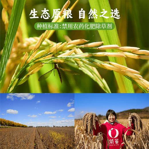 谦益杂粮煎饼100g/包（1包2张饼）薄软香甜 健康美味 万食可卷 可做主食 早餐 下午茶 零食 旅行等能量补充 商品图6