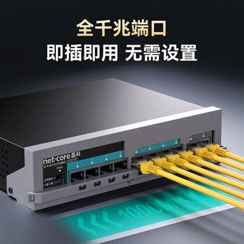 磊科（netcore）SG2010P 10口千兆8口供电POE交换机 企业级家用宿舍监控网络网线分线器 兼容百兆（新老版本混发） 商品图4