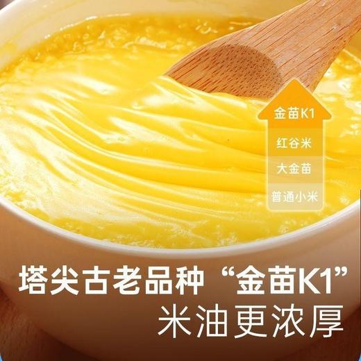 赤峰原产地优质厂家直发-保证质量-小米金苗K1-送健康首选-8斤礼盒装 商品图3