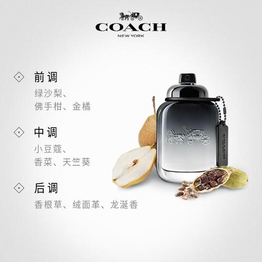 COACH/蔻驰经典男士淡香水摩登岩兰木质调40ml 商品图1