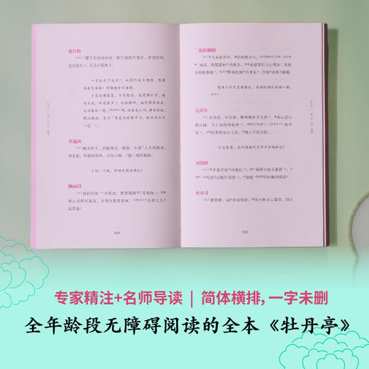 牡丹亭（东方美学巅峰，白先勇挚爱；经典戏画，全本一字未删，专家详注+名师导读，全年龄无障碍阅读） 商品图2