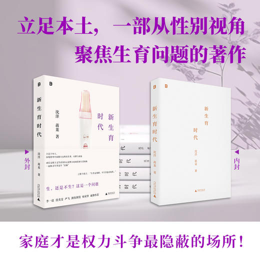 新生育时代 （家庭才是权力斗争最隐蔽的场所！从性别视角聚焦生育问题，直面中国女性的困境，揭开婚后生活的真相！ 李一诺、沈奕斐、严飞、颜怡颜悦、杨菊华诚挚推荐！） 商品图2