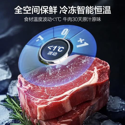 海尔（Haier）冰箱 BCD-509WGHFD19X8U1 商品图6