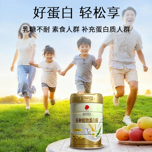 【618会员提前购】北京同仁堂多种植物蛋白粉 纯植物蛋白 温和好吸收 商品图7