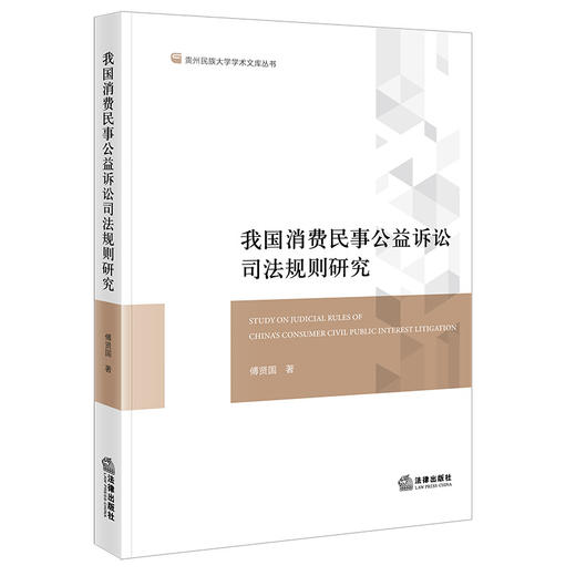 我国消费民事公益诉讼司法规则研究 傅贤国著 法律出版社 商品图0