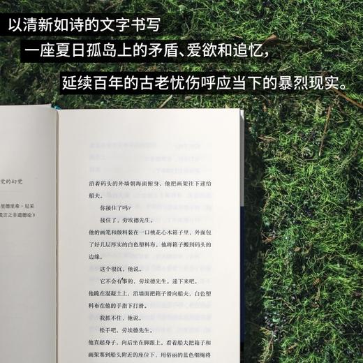 他们涉海而来（特雷弗和托宾的继承者！2022年布克奖提名作品，Goodreads近万人评分4.12，一曲来自爱尔兰的温柔哀歌，完美适配夏日阅读） 商品图2