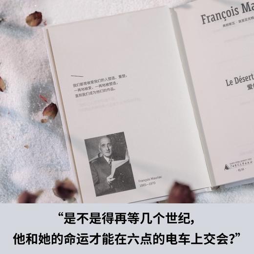 爱的荒漠（诺奖得主莫里亚克惊世之作，绝美精装文库本全新呈现！一则跨越十七年、冲破世俗的三角恋故事，细述人如何被爱改变、塑造、影响 商品图3